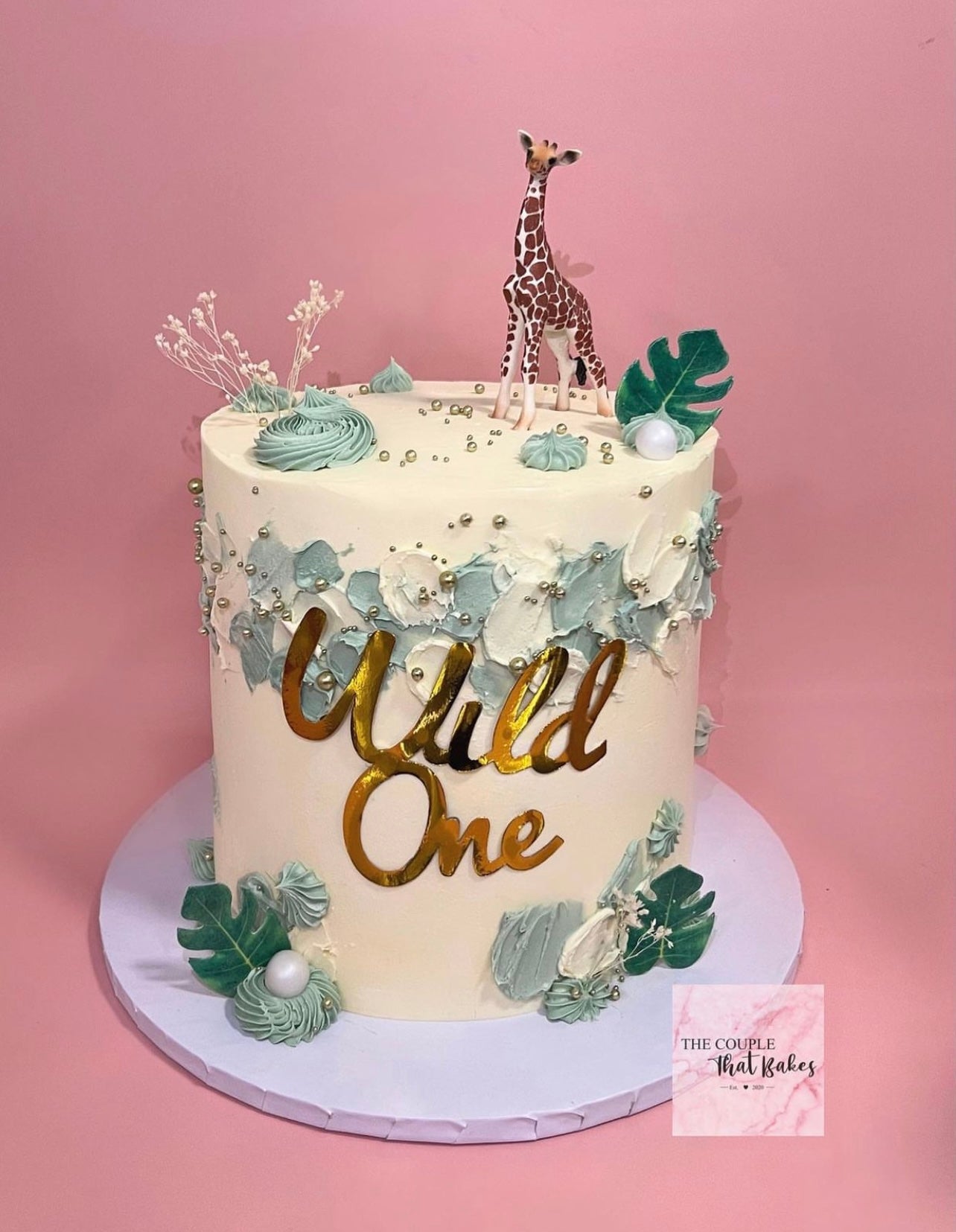 Wild One Cake Smash Session - drawinginlightphotography.com
